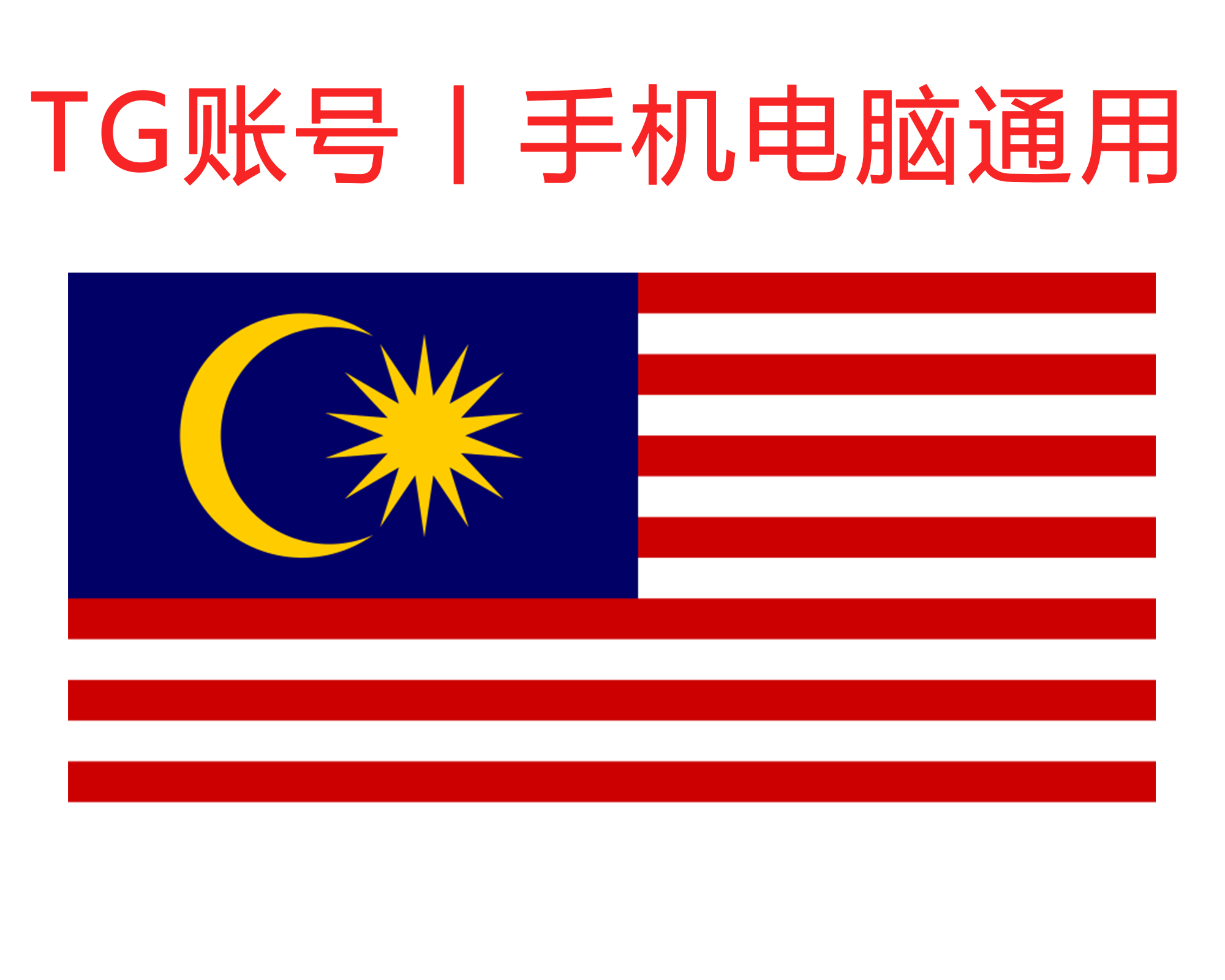 飞机号 (马来西亚) 精养半年+号｜手机+电脑可登